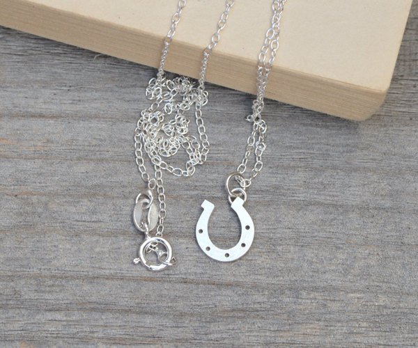 Lucky Starlight Horseshoe Necklace - Silver main image 1